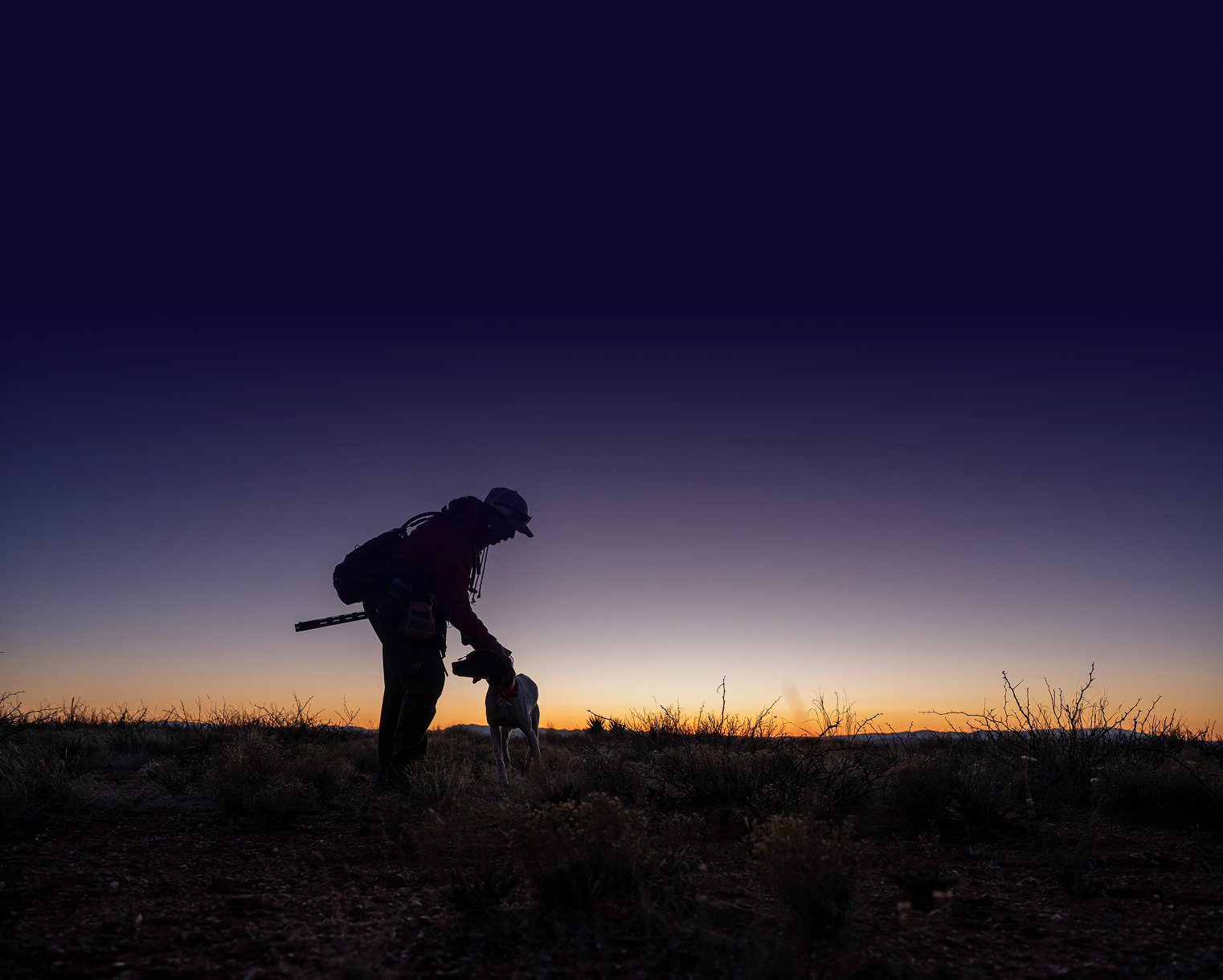 footer-pf-desktop-background