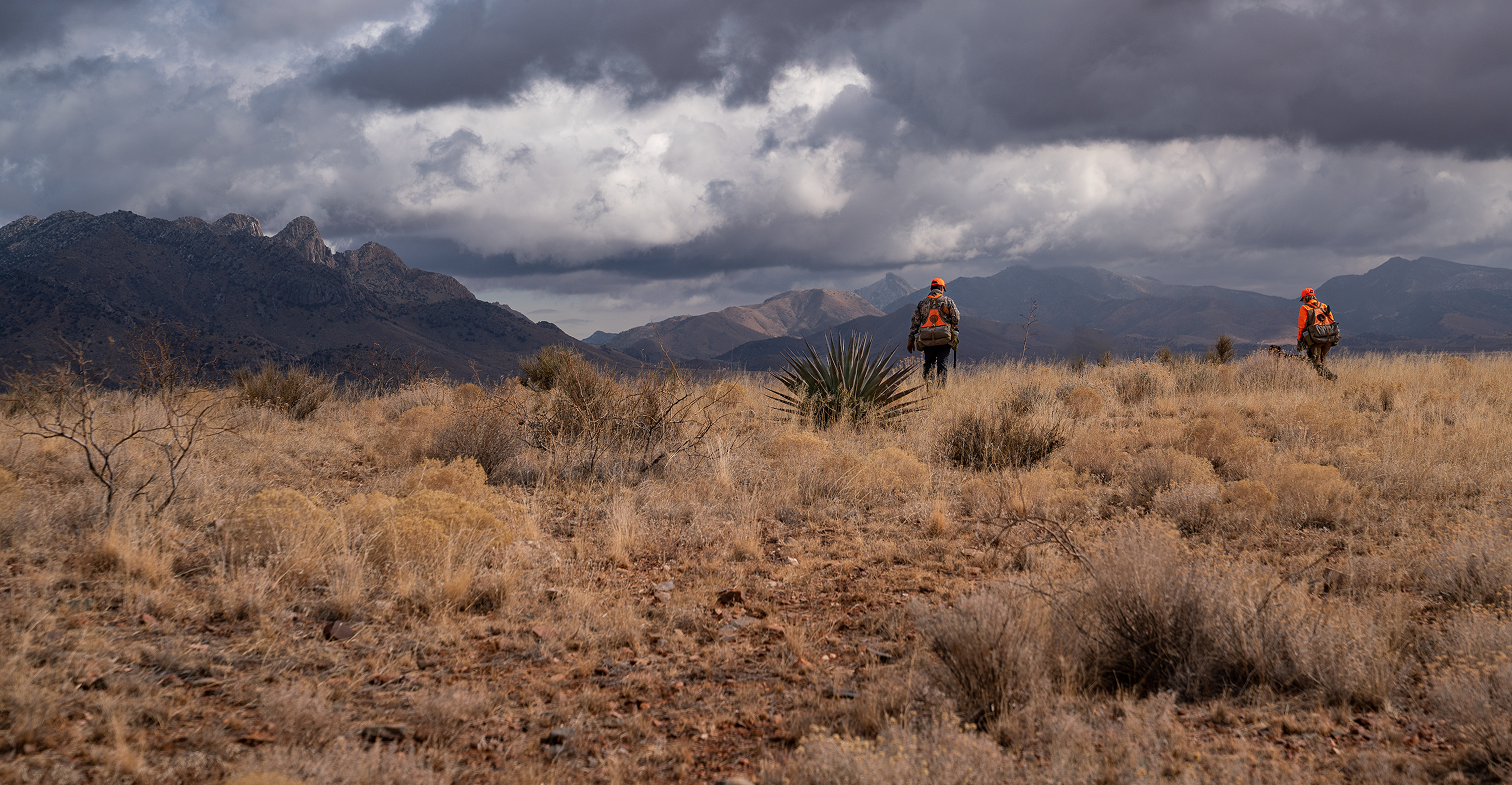 homepage-qf-hunters-field-storm-hero