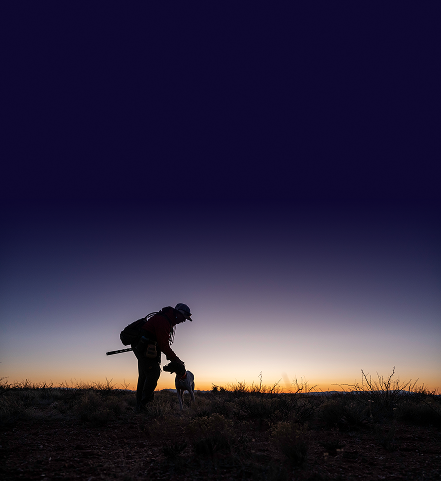 footer-qf-mobile-background