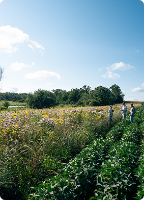 homepage-private-land-programs-card