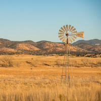 arizona-grasslands-initiative-graze-manage-inline